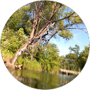 Vivian Gosselin profile picture